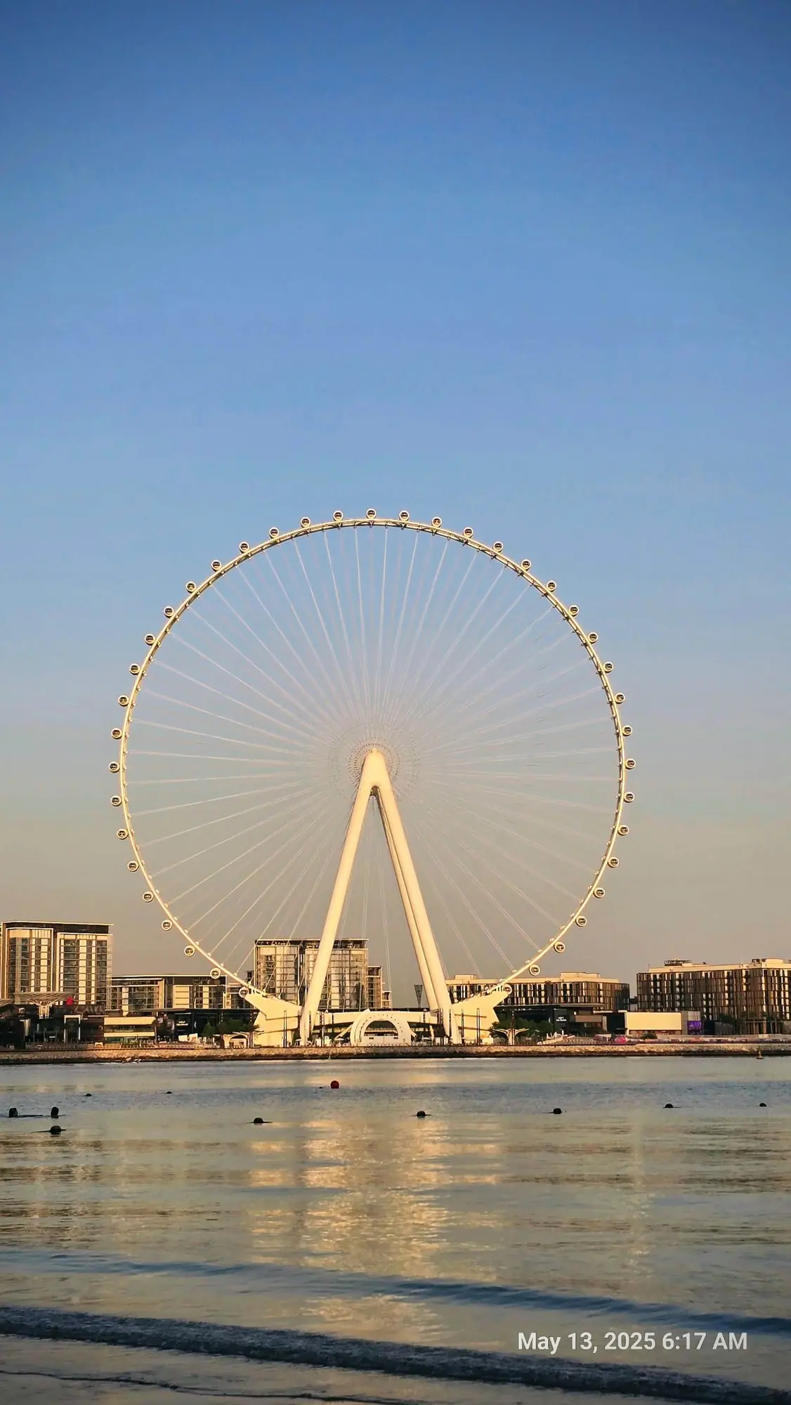 Ain Dubai observation wheel at sunrise across the water, photographed during destination research